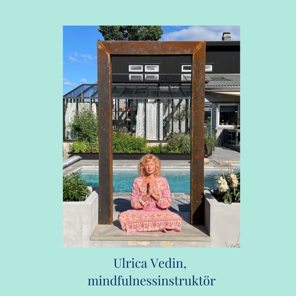 Mindfulnesskurs online